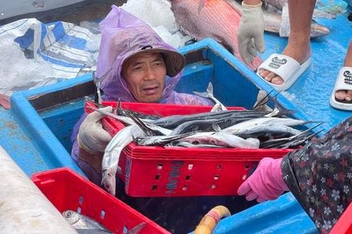 Quảng Ngãi: Ngư dân vươn khơi bám biển xuyên Tết