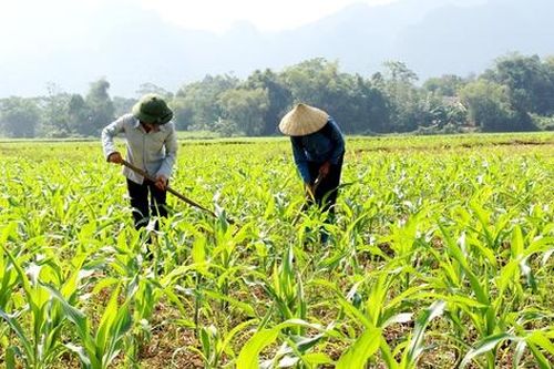 Căn cứ xác định đối tượng được hỗ trợ khi thu hồi đất nông nghiệp