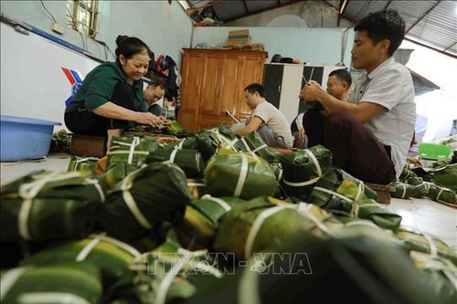 Nức tiếng bánh chưng làng Tranh Khúc