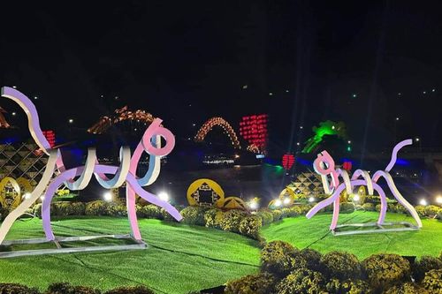 Xuất hiện mô hình linh vật mèo Đà Nẵng thân hình còm nhòm kẻ khen siêu mẫu, người chê 'bộ xương'