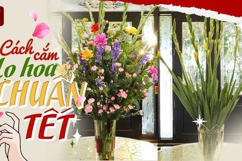 Cách cắm hoa ngày Tết bền, đẹp
