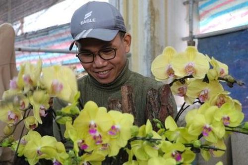 Đếm cành thu tiền, thợ cắm hoa lan kiếm 5-7 triệu đồng mỗi ngày