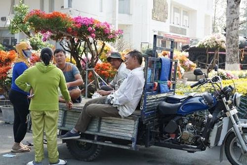 Hoa Tết đợi người