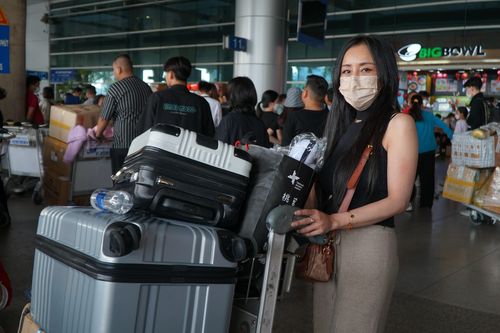 Việt kiều chật vật lấy hành lý tại sân bay Tân Sơn Nhất