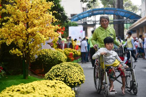 Bệnh nhân diện đồ Tết chụp hình ở đường hoa bệnh viện