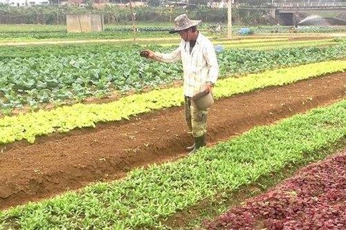 Đối tượng và điều kiện được hỗ trợ ổn định đời sống và sản xuất