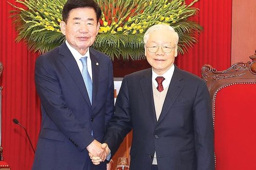 Củng cố quan hệ đối tác chiến lược toàn diện Việt Nam - Hàn Quốc