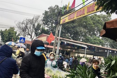 'Thủ phủ' hoa đầu mối lớn nhất miền Bắc tấp nập ngày 27 Tết