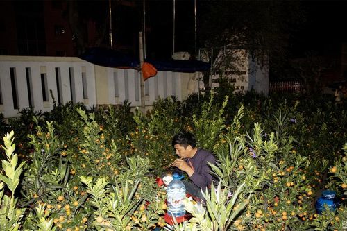 Góc Tết: Đêm rét mướt của những người mang Xuân về phố