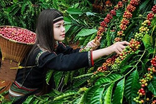 Bức tranh kinh tế hậu Covid-19: Thách thức, thành quả và triển vọng