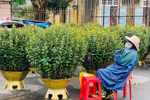 Dân Huế đội mưa rét bán hoa Tết nhưng vắng bóng người mua