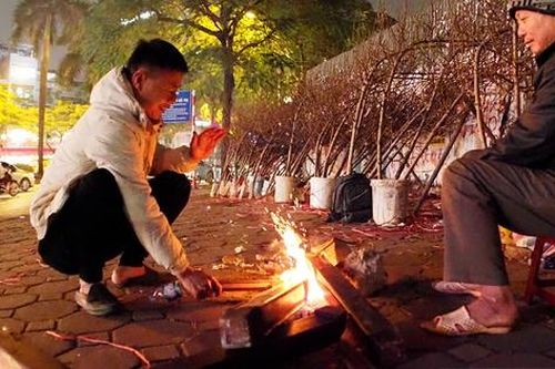 Trắng đêm đốt lửa trông đào trong giá rét