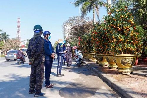 Thị trường hoa, cây cảnh Tết ở Quảng Bình ảm đạm, chủ vườn thấp thỏm
