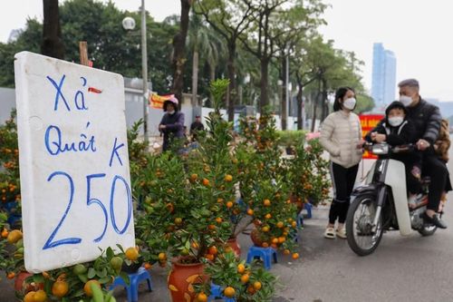 Dạo qua thị trường chiều 28 Tết Nhâm Dần, xả hàng bất chấp