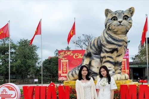 Tâm tình của tác giả 'hoa hậu' mèo Quảng Trị