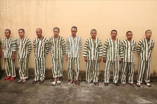 Khởi tố các đối tượng giết người, mua bán ma túy