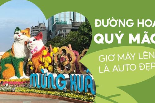 Đường hoa Quý Mão, giơ máy lên là auto đẹp