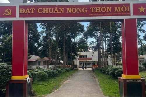 Người Chơro trồng rừng bền vững: Đoạn tuyệt kiếp đói nghèo