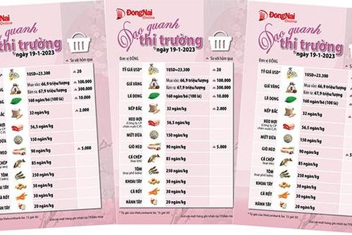 Dạo quanh thị trường 19-1-2023