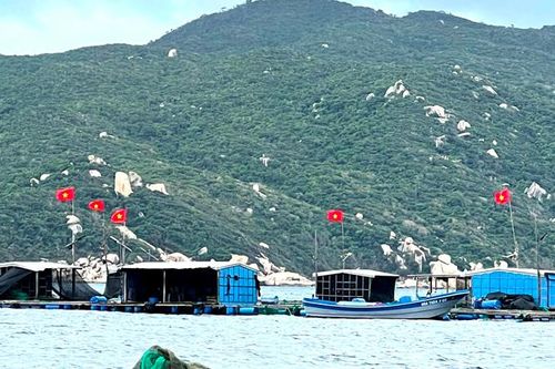Ngư dân thay mới cờ Tổ quốc trên bè nuôi trồng hải sản để đón Tết