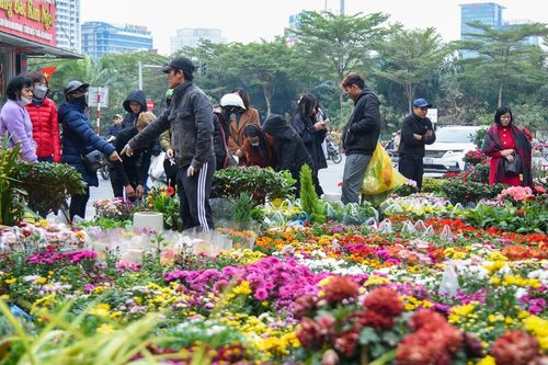 Chợ hoa Hà Nội tấp nập kẻ bán người mua ngày cận Tết