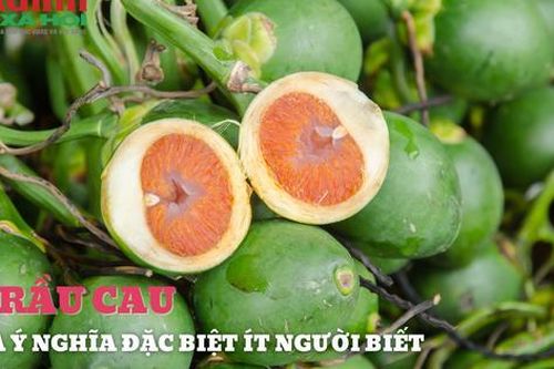 Ý nghĩa của cau trầu mà ít người biết đến trong mâm cỗ ngày Tết