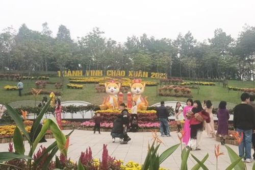 Ấn tượng đường hoa nghệ thuật giữa trung tâm TP Vinh