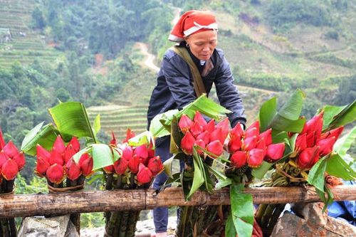 Rộn rã chợ phiên vùng cao ngày Tết