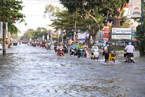 Cảnh báo triều cường cao tại khu vực ven biển Nam Bộ
