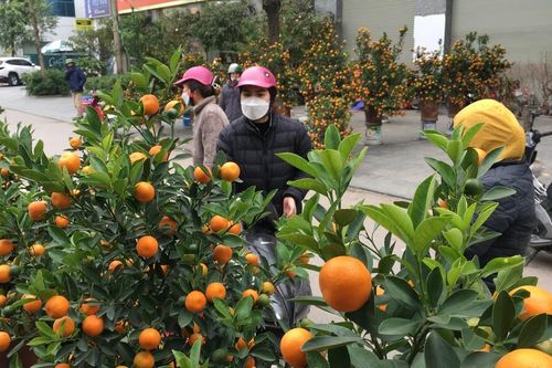 Tết Quý Mão, thời tiết ở miền Bắc đậm nét xuân