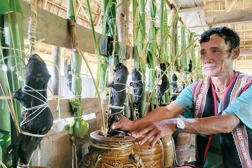 Tết ăn con dúi