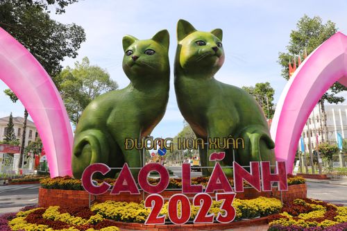 Đồng Tháp khai trương Đường hoa Xuân Quý Mão 2023