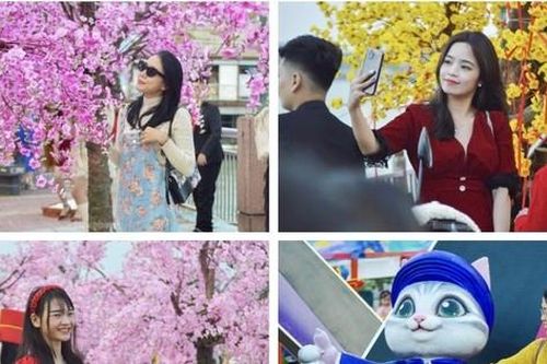 Người dân Đà Nẵng rạng rỡ check in đường hoa Xuân