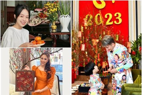 Nghệ sĩ Việt trang hoàng nhà cửa đón Tết: HH Thanh Thủy giản dị, Mạnh tay nhất vẫn là Đàm Thu Trang