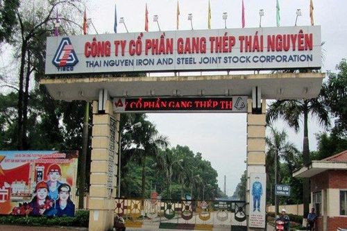 Gang thép Thái Nguyên kinh doanh thua lỗ, vay nợ hơn 4.600 tỷ đồng
