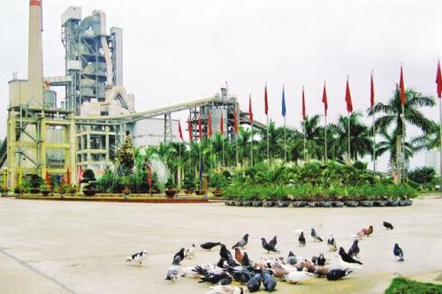 VICEM Hải Phòng: Tăng trưởng trong khó khăn