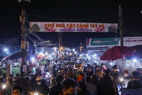 Chợ hoa Quảng An kín người ngày giáp Tết
