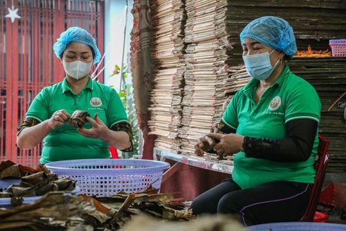 Làng bánh gai trăm tuổi ở Hà Tĩnh bận rộn ngày cuối năm