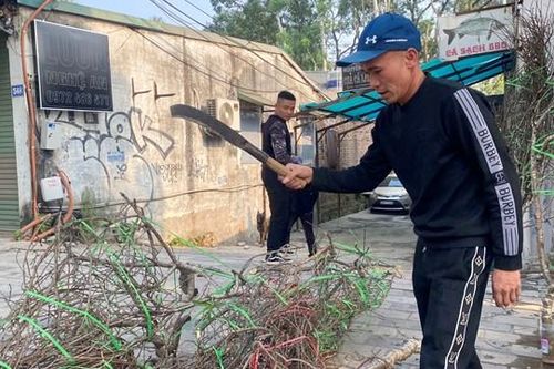 Tiểu thương ấm ức chặt đào, vứt quất 'ế' khách chiều 30 Tết