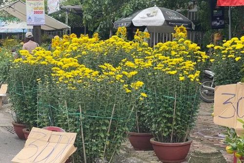 Chợ hoa Xuân ngày cuối cùng: La liệt bảng xả hàng, đồng giá