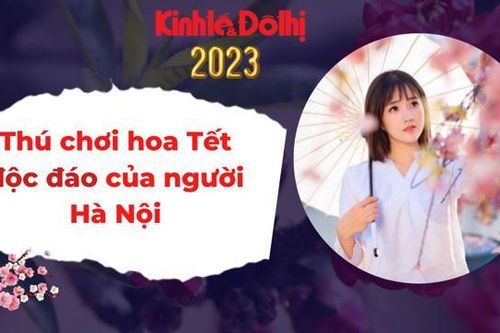 Podcast: Thú chơi hoa Tết độc đáo của người Hà Nội