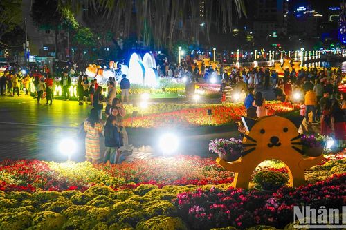Đà Nẵng: Đông người dân và du khách tận hưởng thời khắc cuối năm