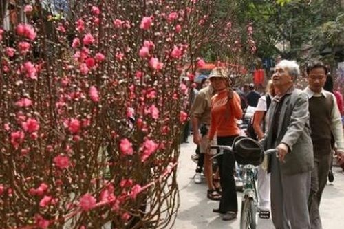 Tết là để trở về