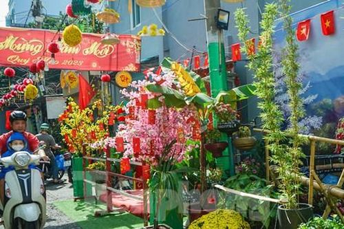 Sắc xuân choáng ngợp trong nhiều con hẻm ở TPHCM