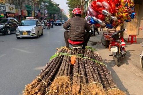 Mía lộc xuống phố Hà Nội ngày 30 Tết, chờ đón giao thừa