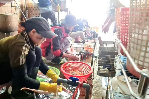 Sáng 30 Tết dịch vụ làm gà cúng giao thừa từ chối phục vụ