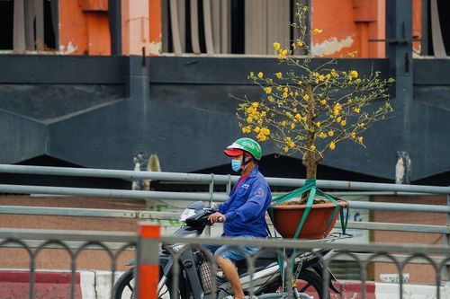 Người dân TP Hồ Chí Minh hối hả chở 'Xuân' về nhà trong ngày 30 Tết