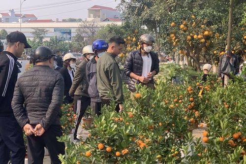 Chợ hoa Từ Sơn chiều 30 Tết