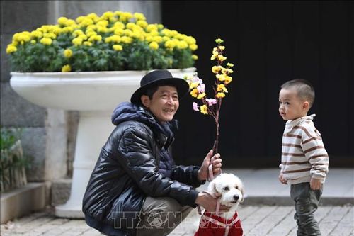 Hà Nội bình dị trong chiều 30 Tết