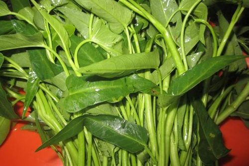 Ăn rau muống kiểu này là bạn đang tự hại cả gia đình mình